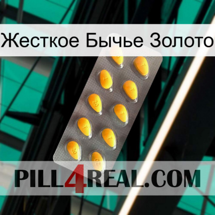 Жесткое Бычье Золото cialis1